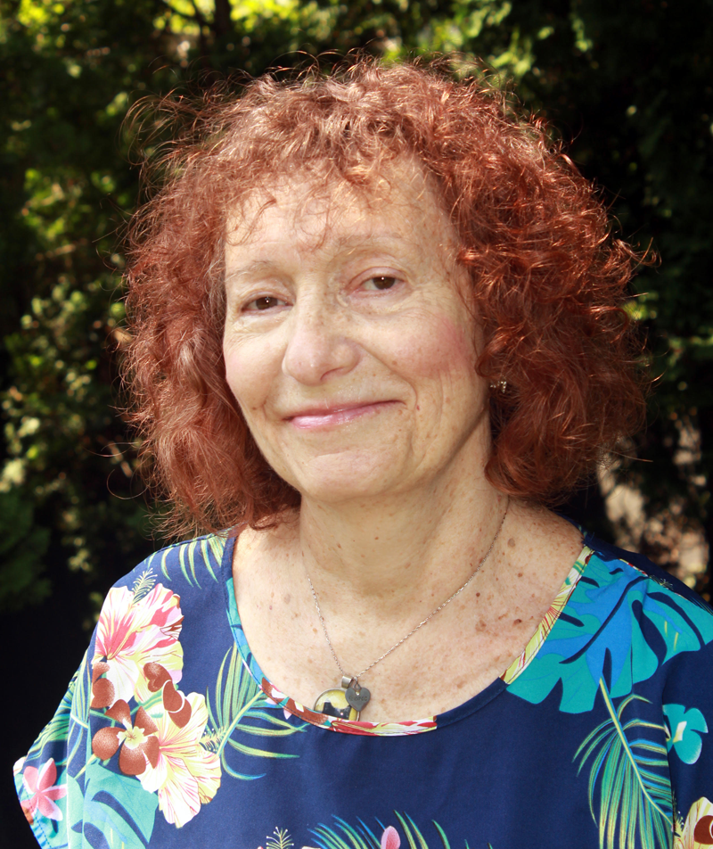 Michele C Holllow